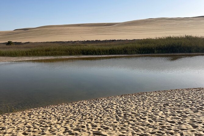 Siwa Oasis tour lifetime Experience 2 days &1night all inclusive - Why this Siwa Oasis tour feels different (and worth considering)