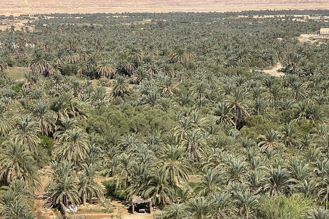 Siwa Oasis tour lifetime Experience 2 days &1night all inclusive - Fatnis Island (Fantasy Island) at sunset: the payoff moment