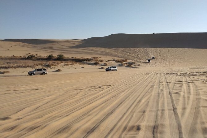 Siwa Sunset Desert Safari، Sand board activity & Optional Dinner - 4x4 Land Cruise and Great Sand Sea Dune Bashing