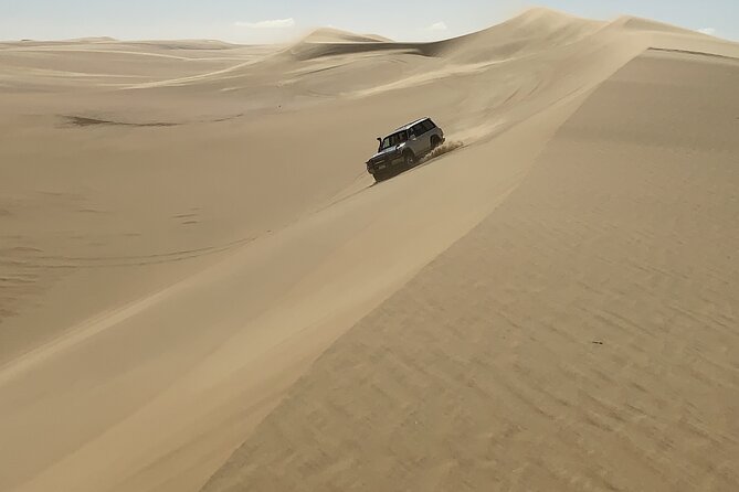 Siwa Sunset Desert Safari، Sand board activity & Optional Dinner - Sandboarding: Your Chance to Play, Not Just Pose