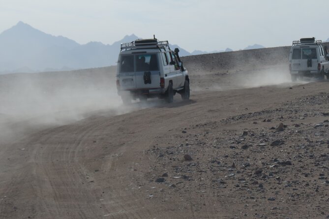 Small Group Full Day Hurghada Experience with BBQ and Show - Key highlights worth your time