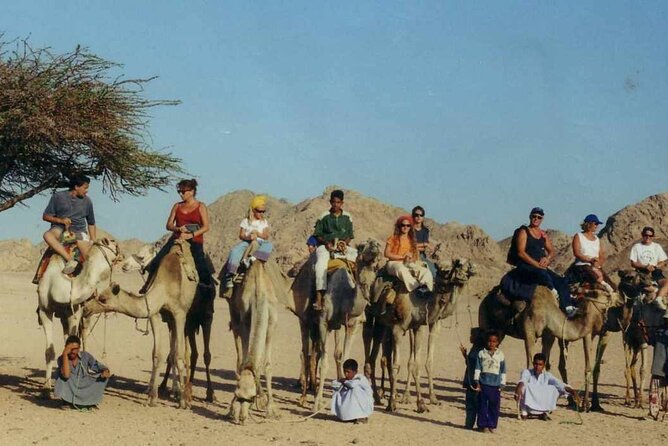Small Group Full Day Hurghada Experience with BBQ and Show - Price and Value: What $6.97 Really Buys (Plus the Extras)