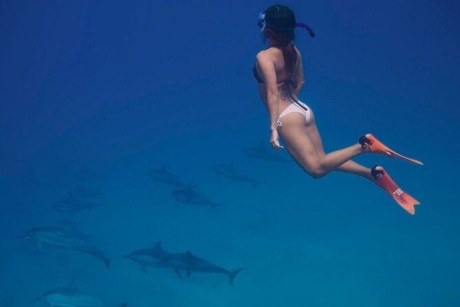 Snorkel at The Dolphin House Adventure In Hurghada - Small group size (up to 30) and why that matters on a boat