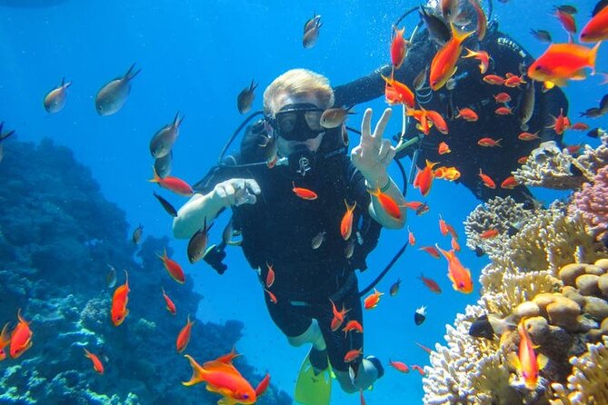 Snorkeling at Ras Mohamed in Sharm El Sheikh - Pickup and transfers: how the day stays low-stress