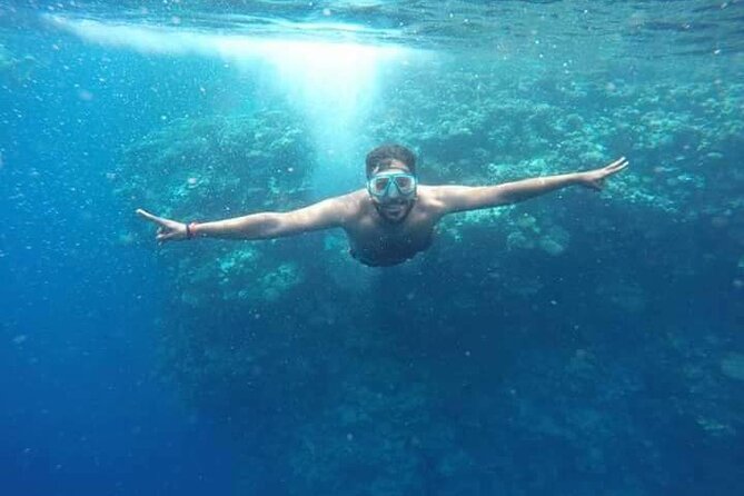 Snorkeling at Ras Mohamed in Sharm El Sheikh - Who this Ras Mohammed snorkeling trip is best for