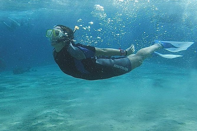 Snorkeling at White Island & Ras Mohammed - Sharm El-Sheikh - Price and Value: Does $30 Make Sense?