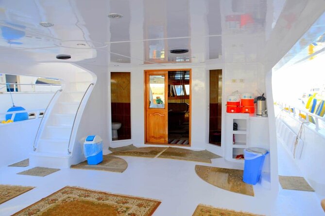 Snorkeling Day Trip To Ras Mohamed And White Island By Boat-sharm - Key Things I’d Book For