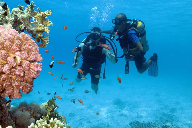 Snorkeling Day White Island & Ras Mohamed With Top VIP yacht - Lunch by the Water: Buffet, Hot Drinks, and a Reset Between Stops