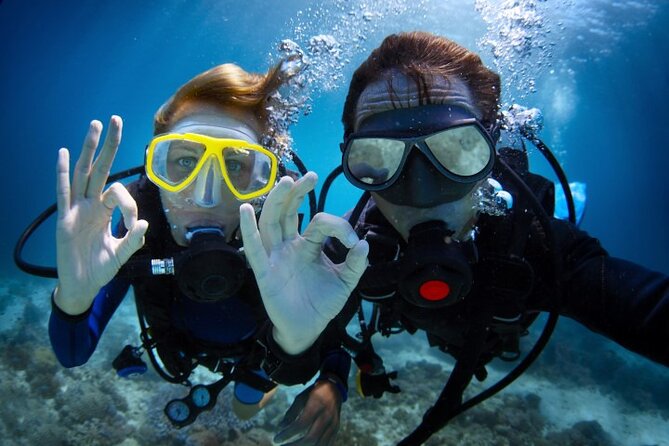 Snorkeling on Ras Mohamed and White Island in Sharm El Sheikh - Ras Mohamed National Park snorkeling stops: where the best sightings come from