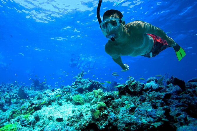 Snorkeling: Ras Mohamed & White Island With Lunch And Drinks - Key things I’d prioritize on this trip