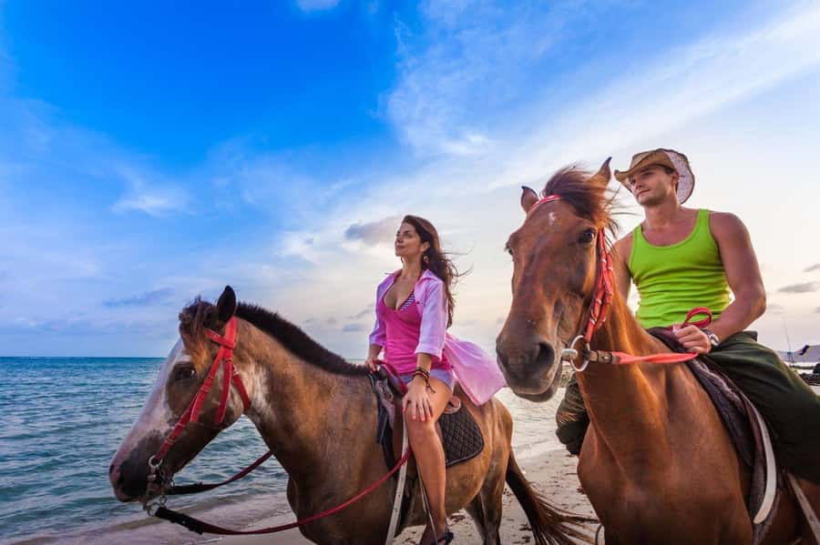 Soma Bay: Horse Riding Beach and Desert Tour With Transfer - Key Highlights You’ll Actually Feel