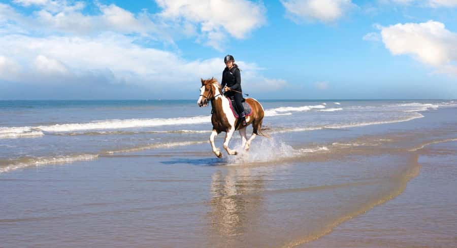 Soma Bay: Horse Riding Beach and Desert Tour With Transfer - Soma Bay Horse Riding: Beach + Desert in One Smooth 2-Hour Block