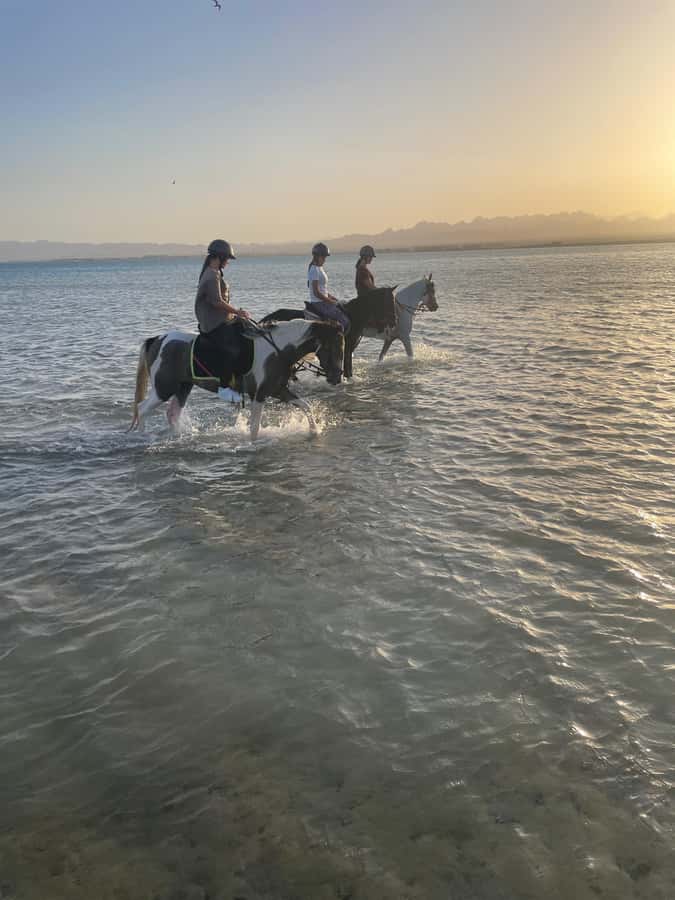 Soma Bay: Horse Riding Beach and Desert Tour With Transfer - Along the Red Sea Beach: Sea Breeze, Water Views, and Easy Rhythm