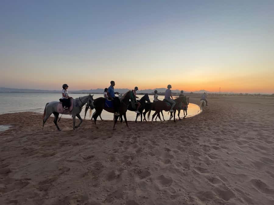 Soma Bay: Horse Riding Beach and Desert Tour With Transfer - Into the Desert: Open Terrain, Wide Views, and a Different Kind of Quiet