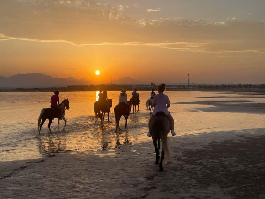 Soma Bay: Horse Riding Beach and Desert Tour With Transfer - The Guide Factor: Safety, Comfort, and Photo Help That Actually Makes Sense