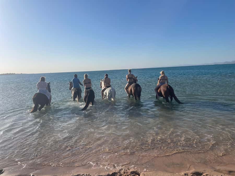 Soma Bay: Horse Riding Beach and Desert Tour With Transfer - What the 2 Hours Feels Like (and Why Transfers Still Matter)