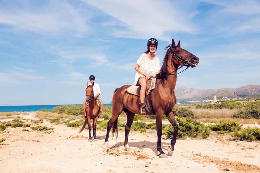 Soma Bay: Horse Riding Beach and Desert Tour With Transfer - Languages and Communication: Make Sure You Can Ask Questions