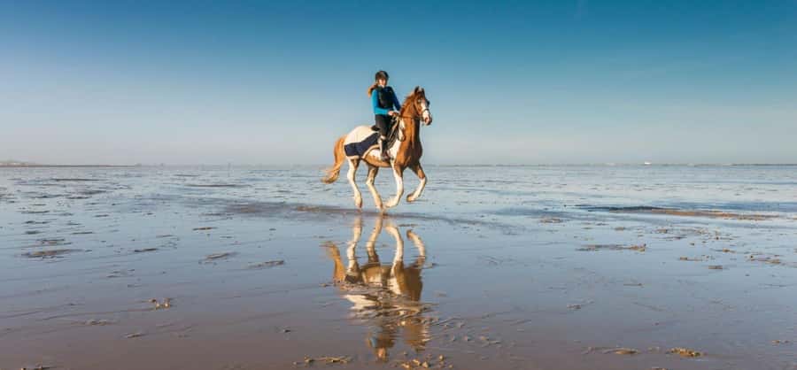 Soma Bay: Horse Riding Beach and Desert Tour With Transfer - Getting Picked Up: Hotel Transfer and the Extra-Fee Zones