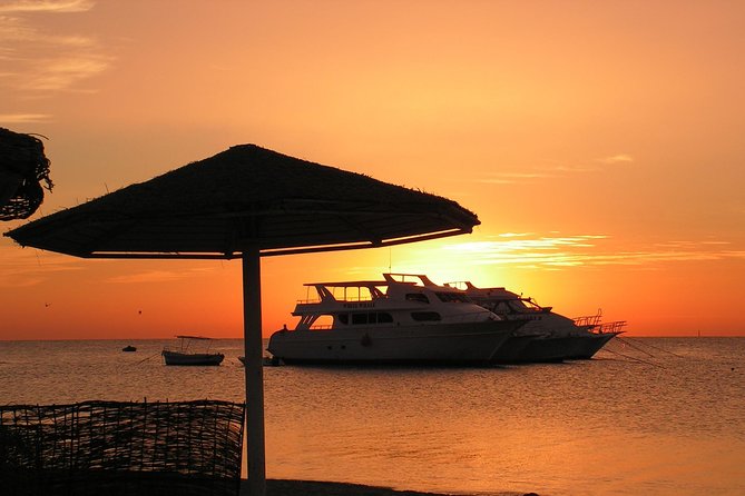 Sorkeling Trip to the White Island & Ras Mohammed - Key highlights you’ll care about
