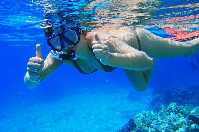 Sorkeling Trip to the White Island & Ras Mohammed - Snorkeling gear and what you should bring