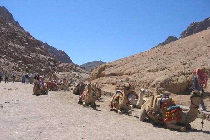 St Catherine Monastery and Mt Sinai Sunrise Tour from Dahab - How the Price Really Breaks Down (and Where Value Comes From)