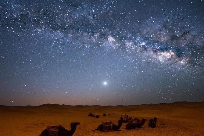 Star Gazing Safari tour By ATV Quad, Bedouin Dinner, telescope - Sharm El Sheikh - Key things to know before you go