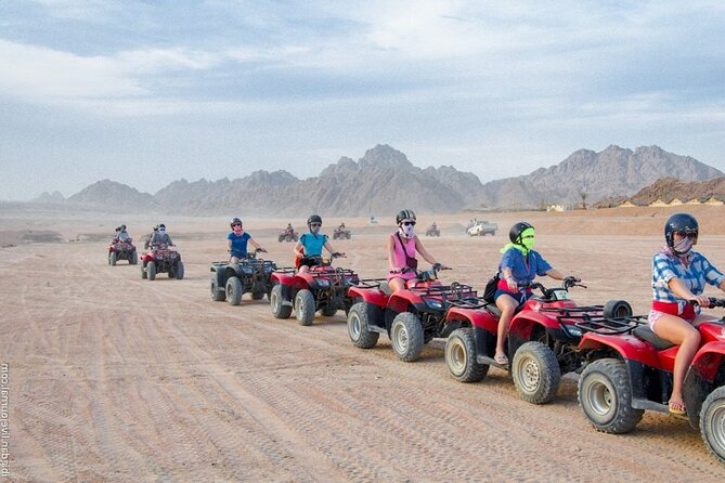 Stargazing And ATV Quad Bike And Camel Ride And Dinner With Show - Bedouin Dinner and Traditional Show: where the evening becomes the event