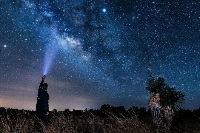 Stargazing Desert Jeep Excursion with Dinner in Hurghada - Bedouin Village Camel Ride and Herbal Tea Welcome