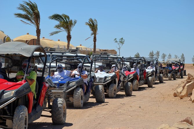 Stargazing Safari Adventure by Jeep with Bedouin Dinner-Hurghada - Key Highlights You’ll Feel Right Away