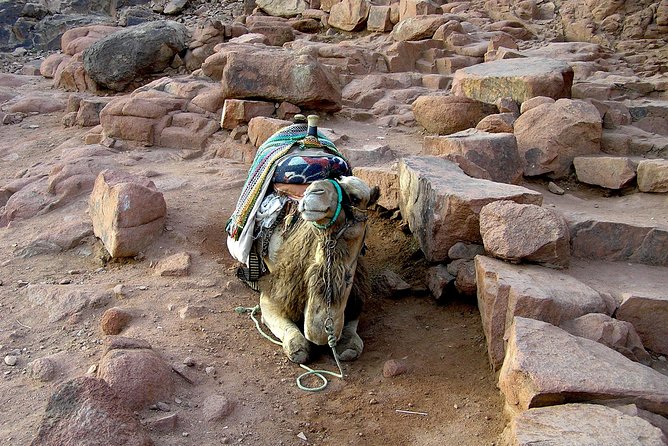 Sunrise at Mt.Sinai and St.Catherine monastery. Entrance included - Mount Sinai sunrise: the part that changes your whole mood