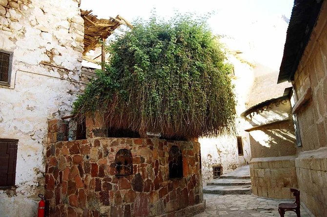 Sunrise at Mt.Sinai and St.Catherine monastery. Entrance included - St. Catherine’s Monastery: short time, calmer feeling