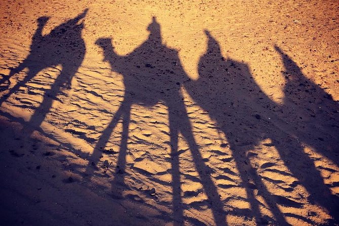 sunset at Giza pyramids by camels - Camel Time + Tea Stop: What the Ride Feels Like