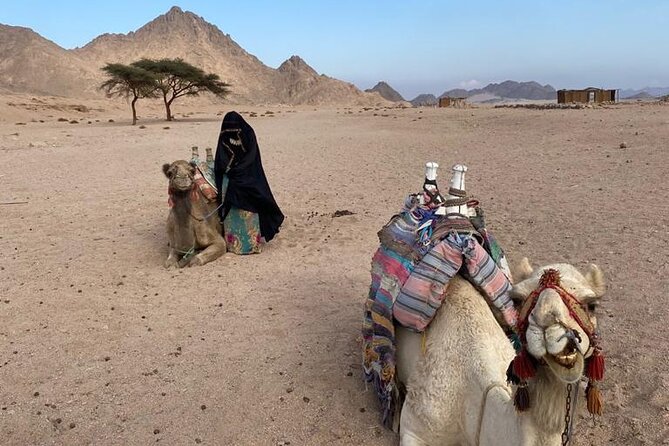 Sunset, Candle Light Dinner & Star Gazing from Hurghada - Star Gazing With a Telescope: The Part You’ll Want to Talk About Later