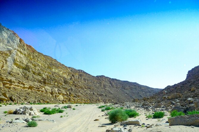 Sunset Desert Experience Canyon, Oasis & Star watching Hurghada - The 150-meter panoramic view: where scale finally clicks