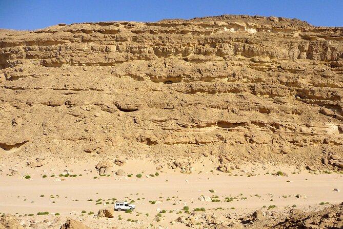 Sunset Desert Experience Canyon, Oasis & Star watching Hurghada - The dry canyon: fossils, coral, and seashells in hard rock