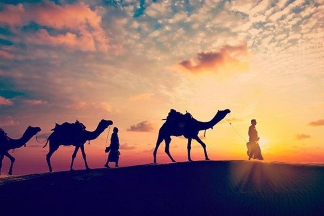 Sunset Desert Safari Trip By Quad Bike from Marsa Alam - Price and What You Actually Get for $76.93