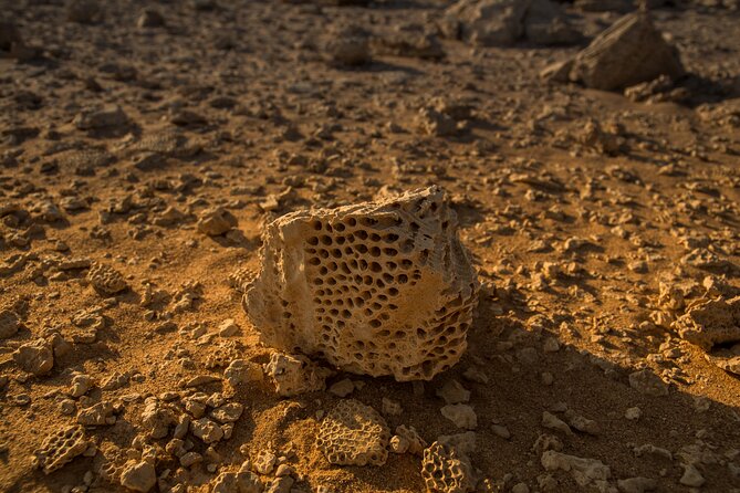 Sunset Luxury Experience to Dry Canyon Wadi Belli - Bedouin Family Stop and Village Snacks: Real People, Not Just Scenery