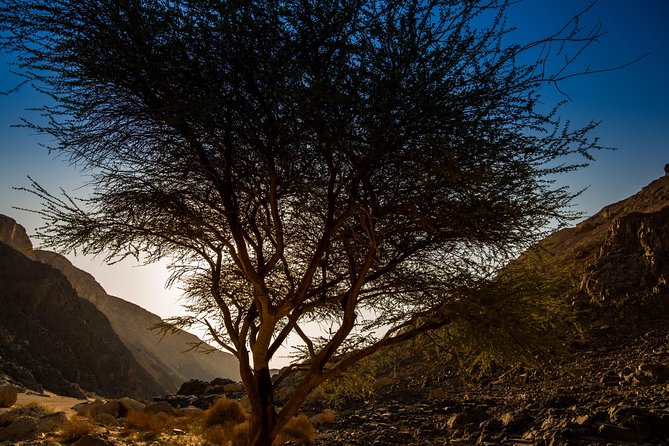 Sunset Luxury Experience to Dry Canyon Wadi Belli - The 4WD Ride From Hurghada: Safe, Comfortable, and Less Stress Than DIY