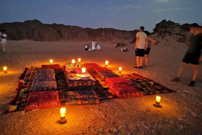 Sunset Oasis Desert Experience in El Gouna and Hurghada - Wadi Belli dry canyon: fossil corals and shells in the sand