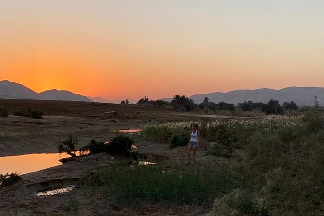 Sunset Oasis Desert Experience in El Gouna and Hurghada - Oase El Malacha (Wadi Melaha): freshwater springs and palm shade