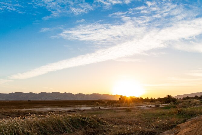 Sunset Oasis Desert Experience in El Gouna and Hurghada - Dinner included: the end-of-day comfort move