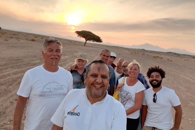 Sunset Oasis Desert Experience in El Gouna and Hurghada - Hotel pickup to a comfy 4WD: the ride you actually want