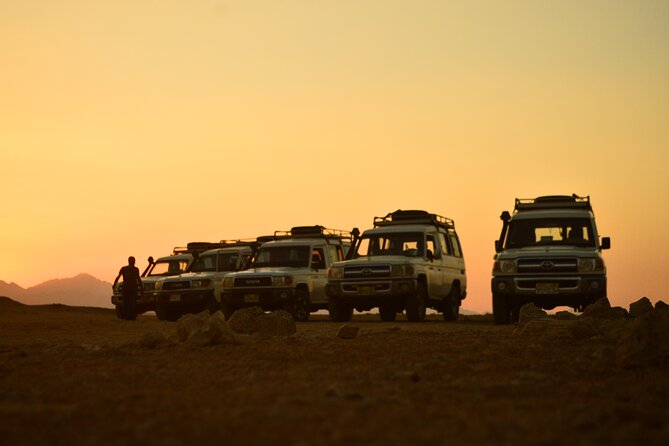 Sunset Safari trip by Jeep - Wadi Billi Canyon Fossils: Finding Coral and Shell Remnants