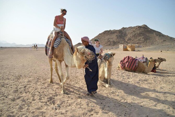 Super Safari 5In1quad Camel Ride Dinner African Nubian show star gazing in sharm - Hotel Pickup to Quad Base: The Smooth Part of the Evening