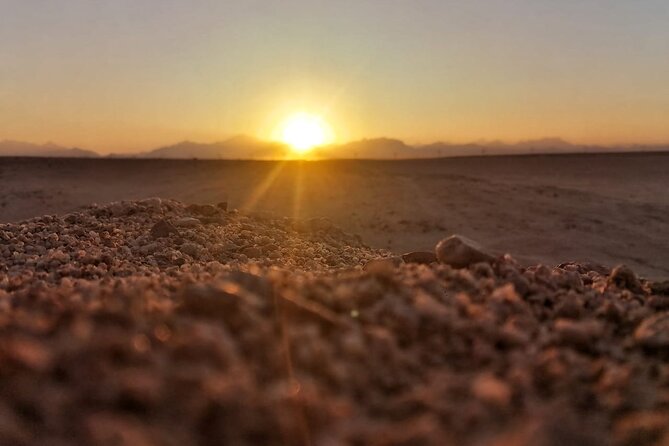 Super Safari ATV, Drive Buggy, Camel Ride, Dinner & Show-Hurghada - Key moments that make this safari click