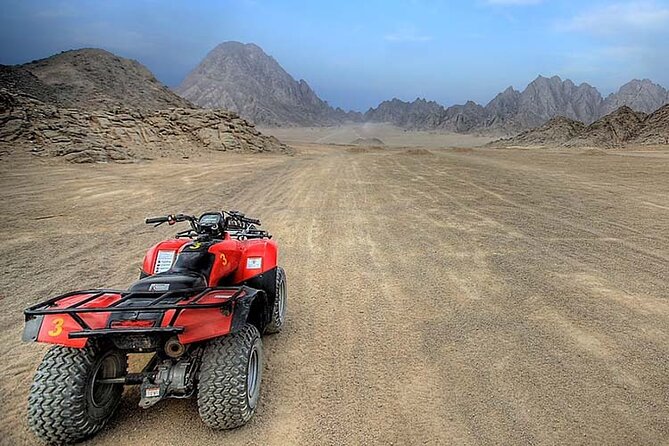 Super Safari ATV, Drive Buggy, Camel Ride, Dinner & Show-Hurghada - Inside the Bedouin village: flatbread, tea, and the camel ride reality
