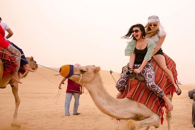Super Safari ATV Quad, Camel, BBQ Dinner &Show in Sharm El Sheikh - Price and value: $22 plus the 5€ station fee reality