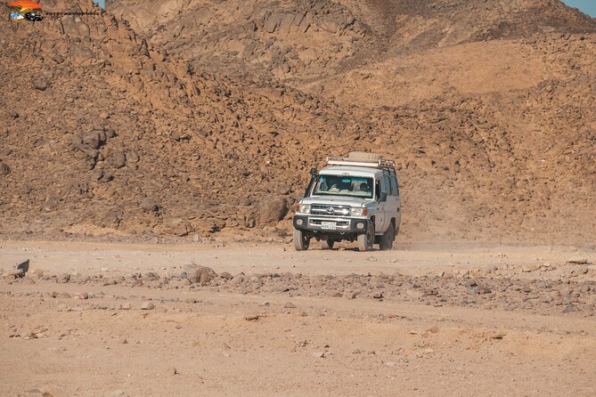 Super Safari ATV Quad, Jeep & Camel Ride with Dinner - Hurghada - Camel Ride and Bedouin Village: The Calm Counterweight