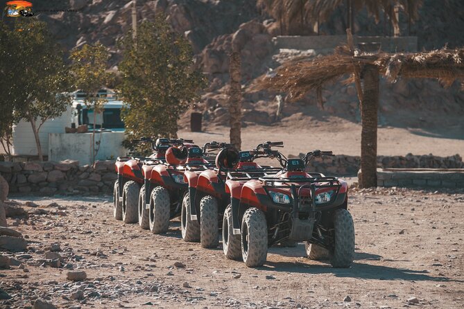 Super Safari ATV Quad, Jeep & Camel Ride with Dinner - Hurghada - Bedouin Camp Dinner, Drinks, and the Show Under the Stars