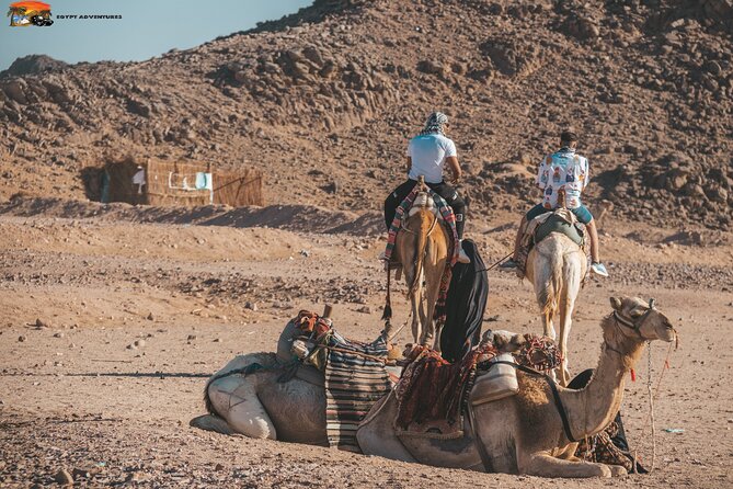 Super Safari ATV Quad, Jeep & Camel Ride with Dinner - Hurghada - Who This Safari Is For (and Who Might Want a Simpler Plan)